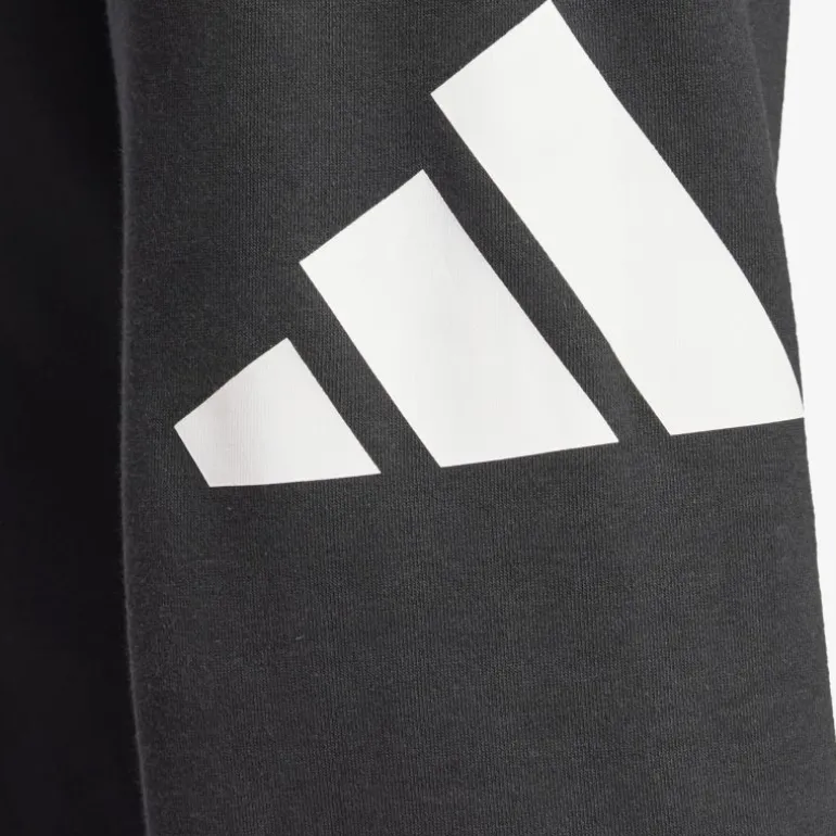 adidas Essentials Big Logo French Terry Herren Hosen