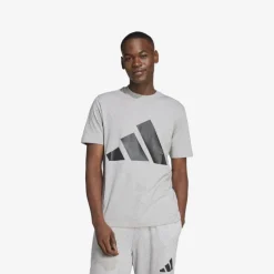 adidas Essentials Big Logo Herren T-Shirt