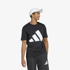 adidas Essentials Big Logo Herren T-Shirt