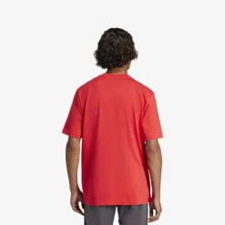 adidas Essentials Linear Single Jersey Herren T-Shirt