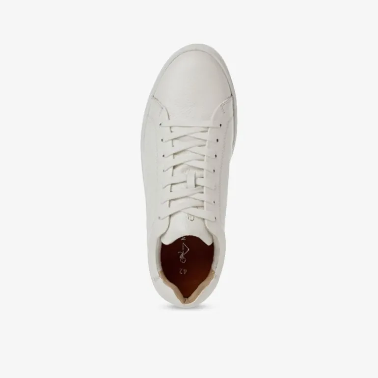 MARCO TOZZI by GMK Herren Sneaker Low